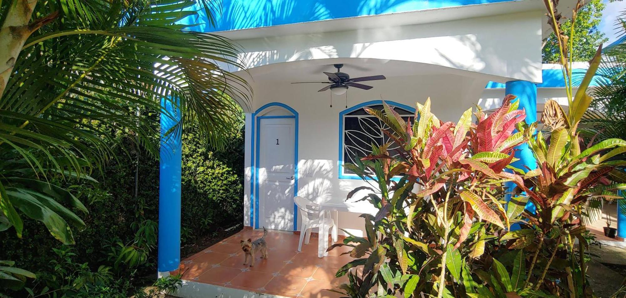 لاس تاريناس Chambre Bungalow2 المظهر الخارجي الصورة